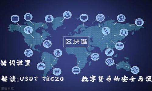 # 和关键词设置

“最全面解读：USDT TRC20 – 数字货币的安全与便捷之选”