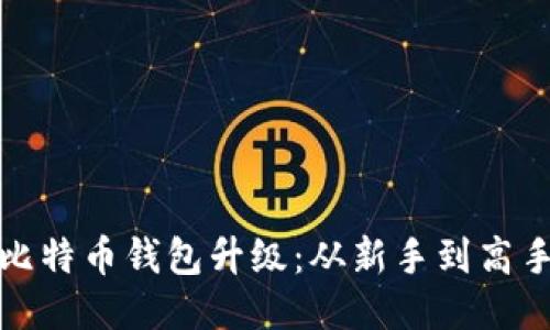轻松应对比特币钱包升级：从新手到高手的全攻略