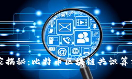 专家独家揭秘：比特币区块链共识算法的秘诀