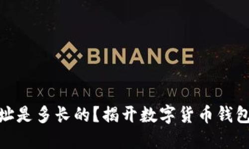 USDT钱包地址是多长的？揭开数字货币钱包的神秘面纱！